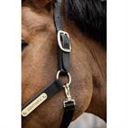 Halfter Nylon Anatomisch Kentucky Schwarz
