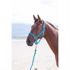 Halfter Nylon Topaz Shires Blau