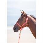 Halfter Nylon Topaz Shires Orange