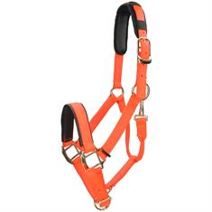 Halfter Nylon Topaz Shires Orange
