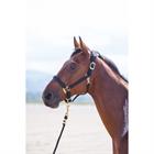 Halfter Nylon Topaz Shires Schwarz