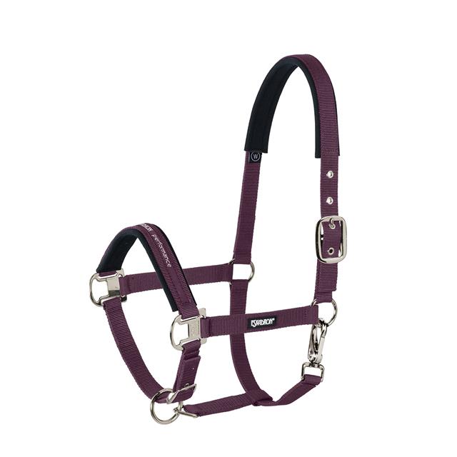 Halfter Pin Buckle Eskadron Dunkelrot