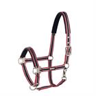 Halfter Pin Buckle Eskadron Rot-Dunkelblau