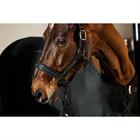 Halfter Platinum Softshell Pearls Double Pin Eskadron Schwarz