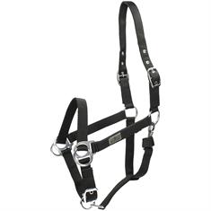 Halfter Riding Busse