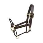 Halfter Rope Kentucky Braun