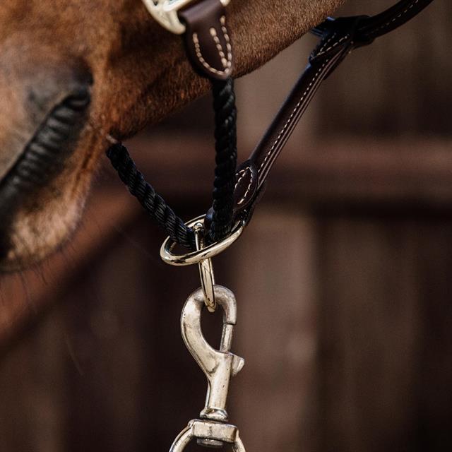 Halfter Rope Kentucky Braun