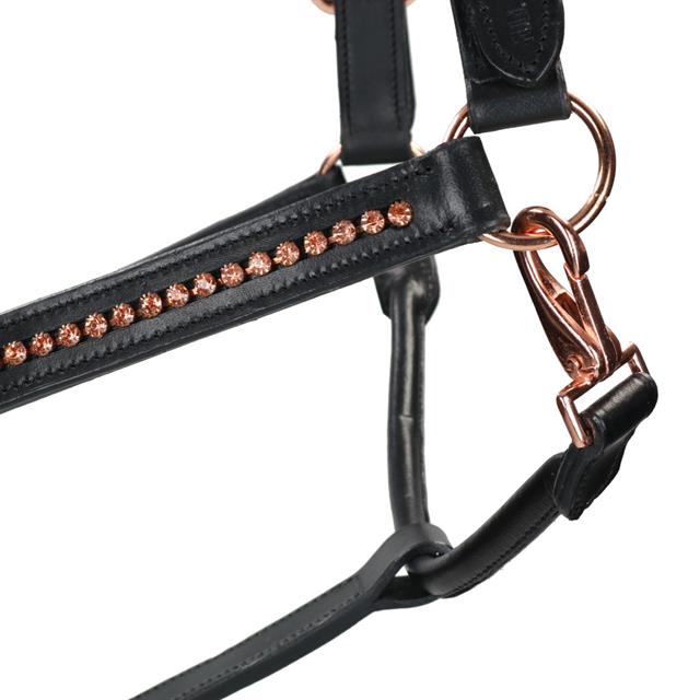 Halfter Roségold HORSEGEAR Schwarz