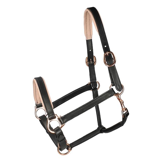 Halfter Roségold Leder Horsegear Schwarz-Gold