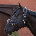 Halfter Show-Line Bucas Dunkelblau-Grau