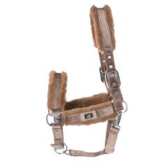 Halfter Velvet Horsegear Gold