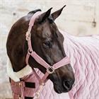 Halfter Velvet Kentucky Rosa