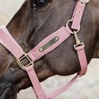 Halfter Velvet Kentucky Rosa