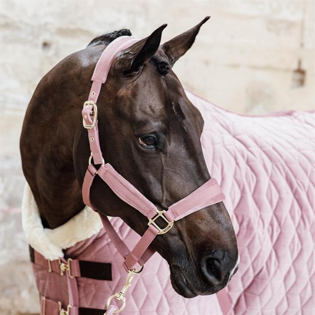 Halfter Velvet Kentucky Rosa