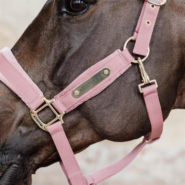 Halfter Velvet Kentucky Rosa