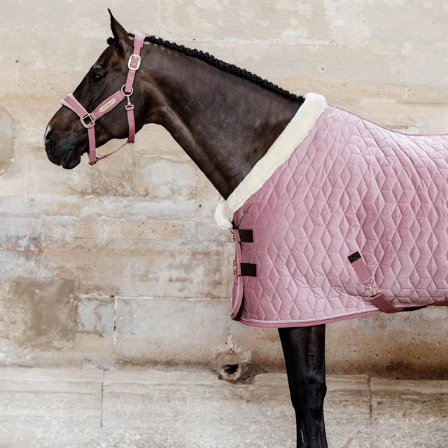 Halfter Velvet Kentucky Rosa