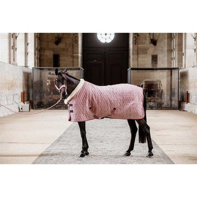 Halfter Velvet Kentucky Rosa