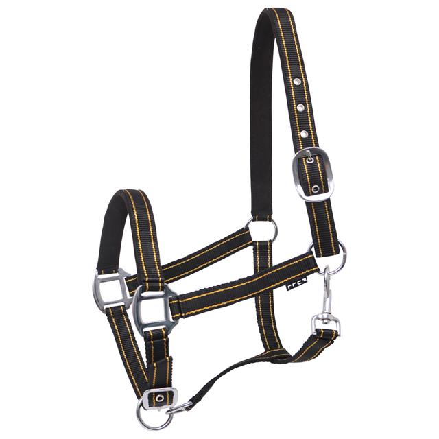 Halfter Zari Horsegear Schwarz-Gold