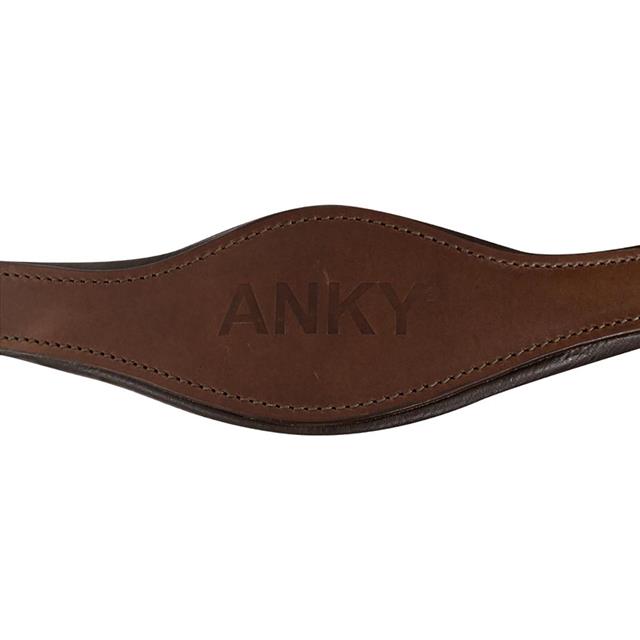 Halfterset Anky Blau-Braun