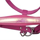 Halfterset Diva Violet Harry's Horse Rosa