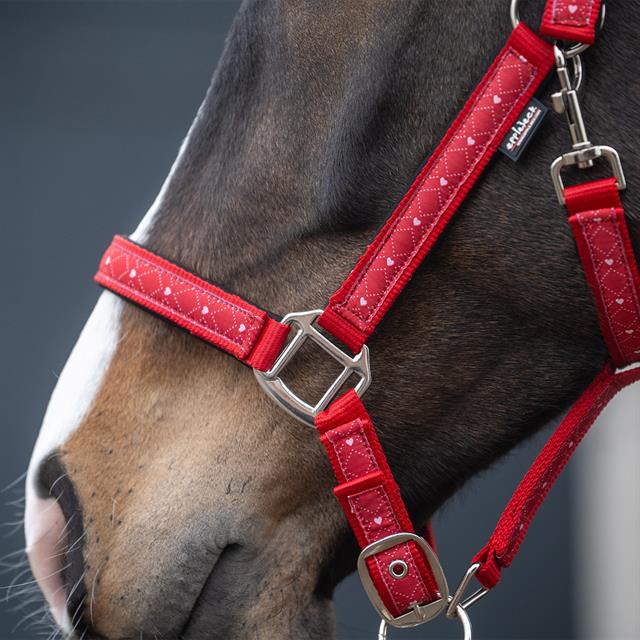 Halfterset EJValentine Epplejeck Rot