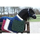 Halfterset Friesian Horse By HORSEGEAR Dunkelblau