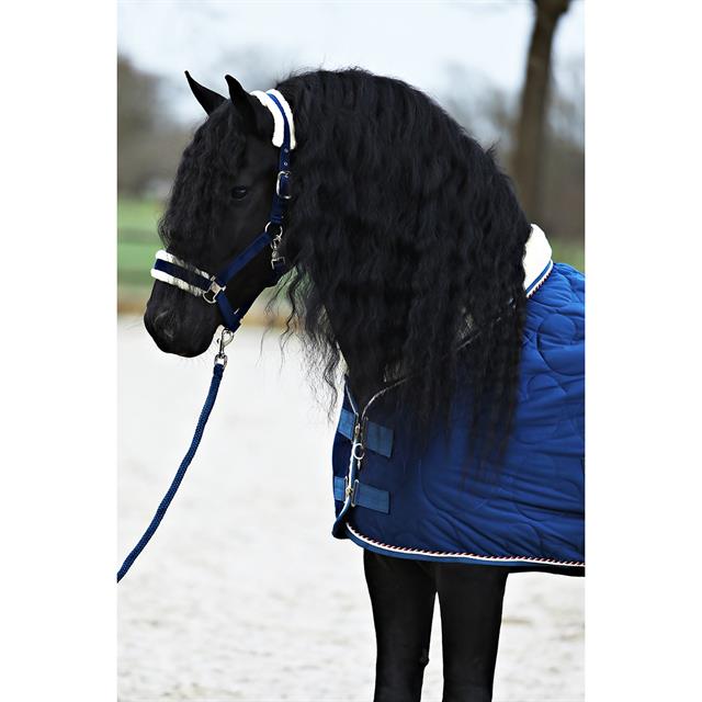 Halfterset Friesian Horse By HORSEGEAR Dunkelblau