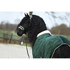 Halfterset Friesian Horse By Horsegear Dunkelgrün