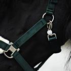 Halfterset Friesian Horse By HORSEGEAR Dunkelgrün