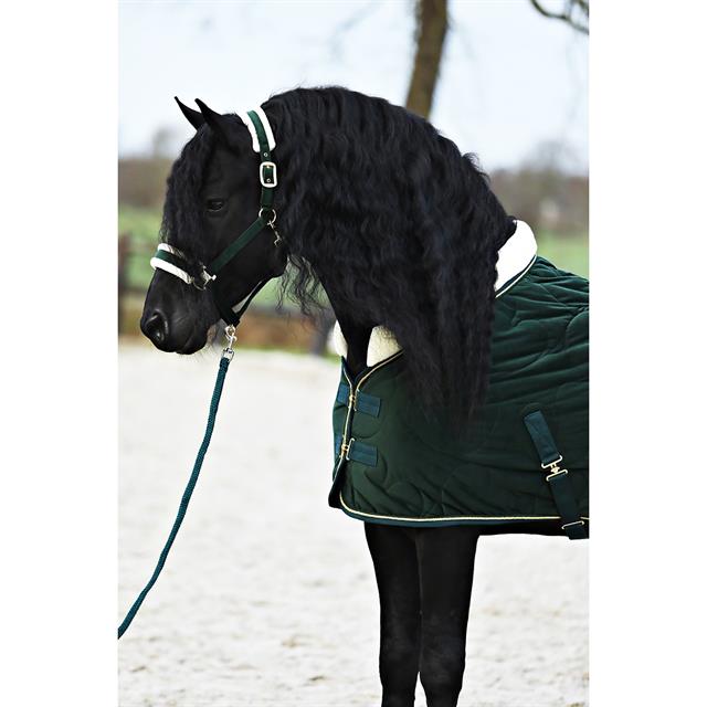 Halfterset Friesian Horse By HORSEGEAR Dunkelgrün