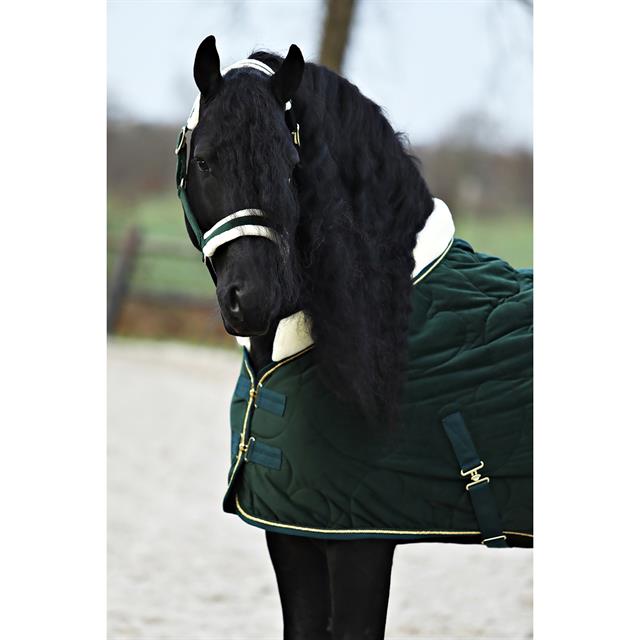 Halfterset Friesian Horse By HORSEGEAR Dunkelgrün