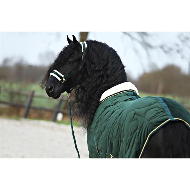 Halfterset Friesian Horse By HORSEGEAR Dunkelgrün