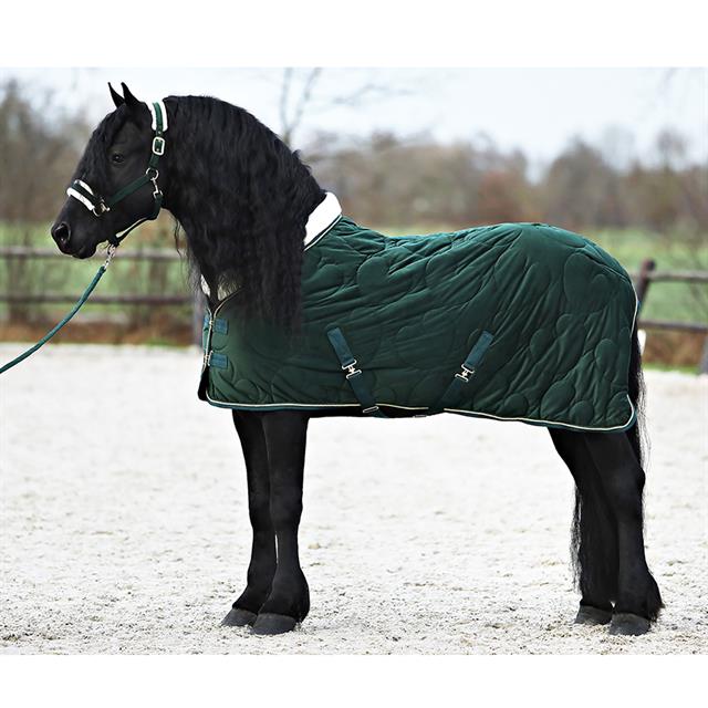 Halfterset Friesian Horse By HORSEGEAR Dunkelgrün