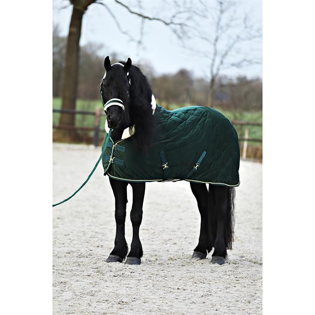 Halfterset Friesian Horse By HORSEGEAR Dunkelgrün