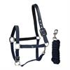 Halfterset HGCroco HORSEGEAR Dunkelblau