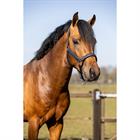 Halfterset HGCroco HORSEGEAR Dunkelblau