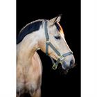 Halfterset HGCroco HORSEGEAR Grün