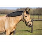 Halfterset HGCroco HORSEGEAR Grün