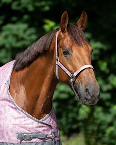 Halfterset Turnout Collection QHP