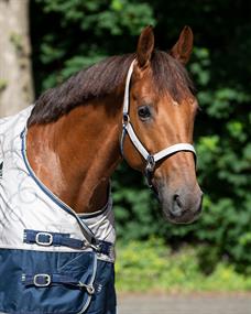 Halfterset Turnout Collection QHP