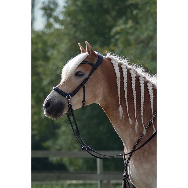 Halsring Free Horse Schwarz-Beige