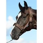 Halster Bucas Comfort Braun