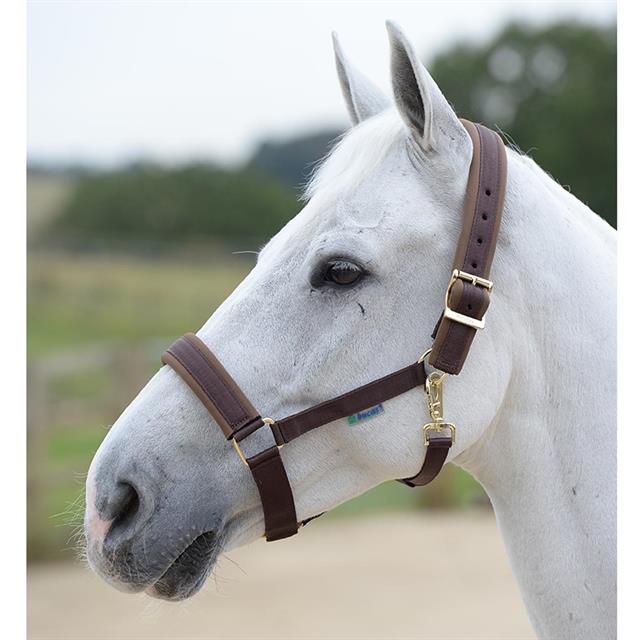 Halster Bucas Comfort Braun
