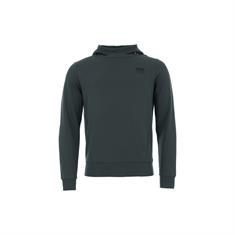 Hoodie Ehan Men Cavallo Grün