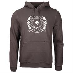 Hoodie Men Tommy Hilfiger Dunkelgrün