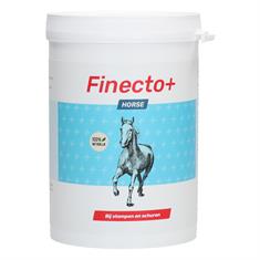 Horse Finecto+ Divers