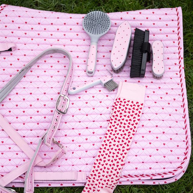 Hufkratzer EJValentine Epplejeck Rosa