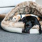 Hundebett Igloo Kentucky Braun