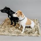 Hundedecke Fuzzy To Go Kentucky Braun