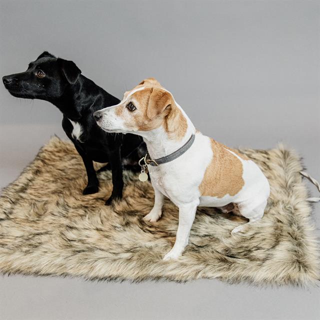 Hundedecke Fuzzy To Go Kentucky Braun